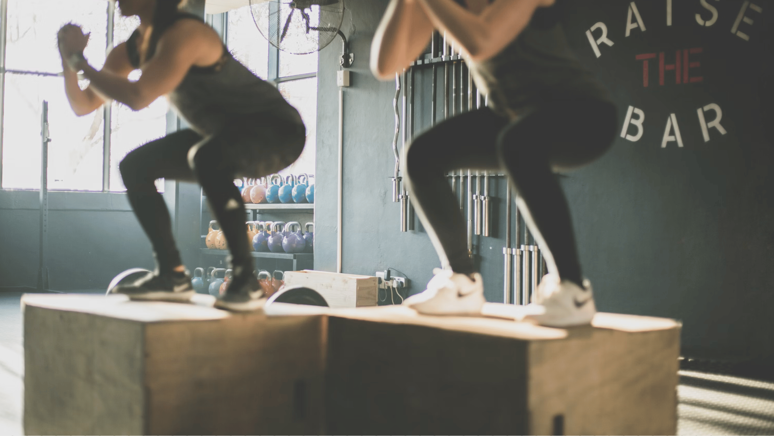 Image of people doing squat workouts